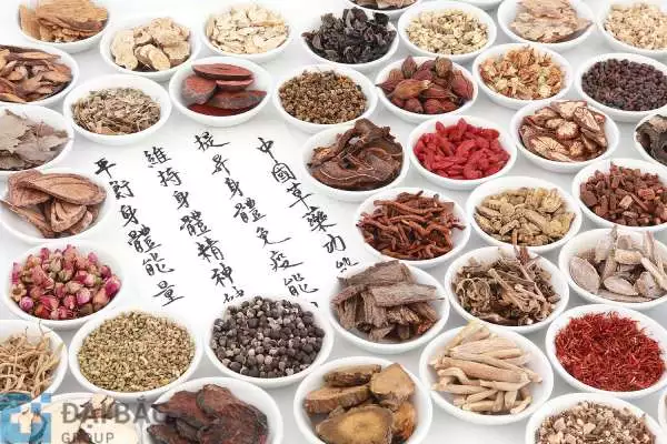 Vị thuốc đông y